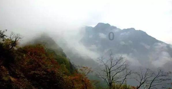 幻想森林逃生